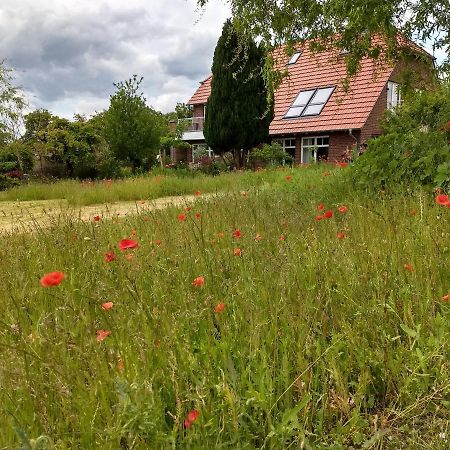 Haus Rosengarten- Ruhige Ferienwohnungen Im Gruenen Sehlen Экстерьер фото